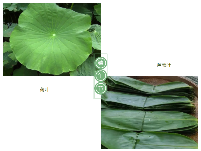 华体网页版登录入口医纺