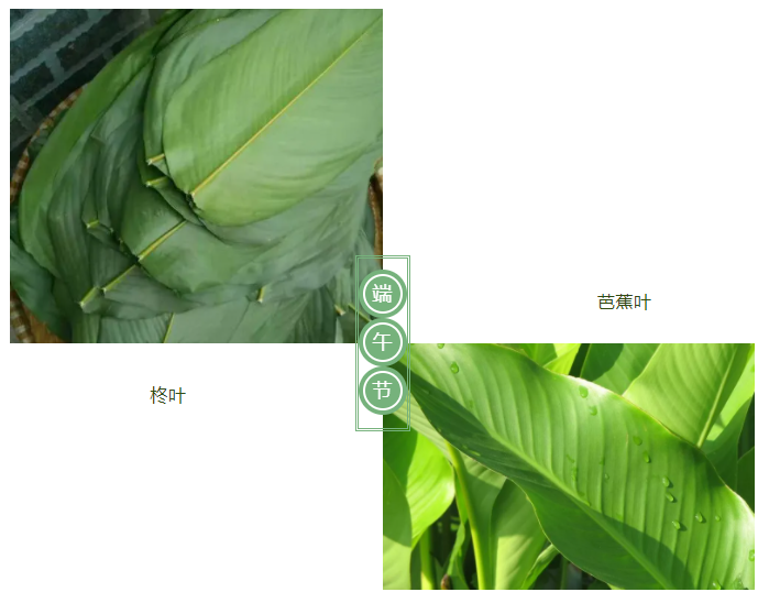 华体网页版登录入口医纺
