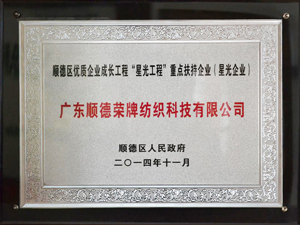 华体网页版登录入口-2012年获顺德政府颁发“星光企业”称号