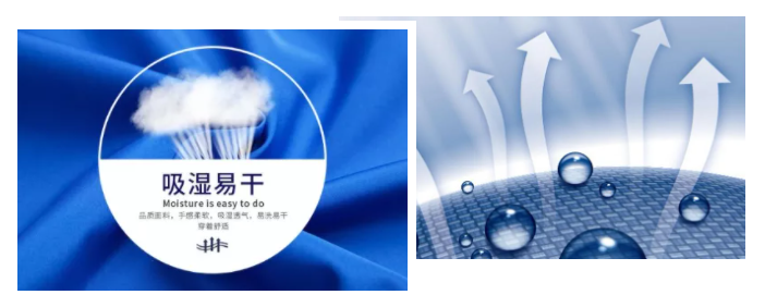 华体网页版登录入口医纺