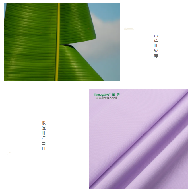 华体网页版登录入口医纺