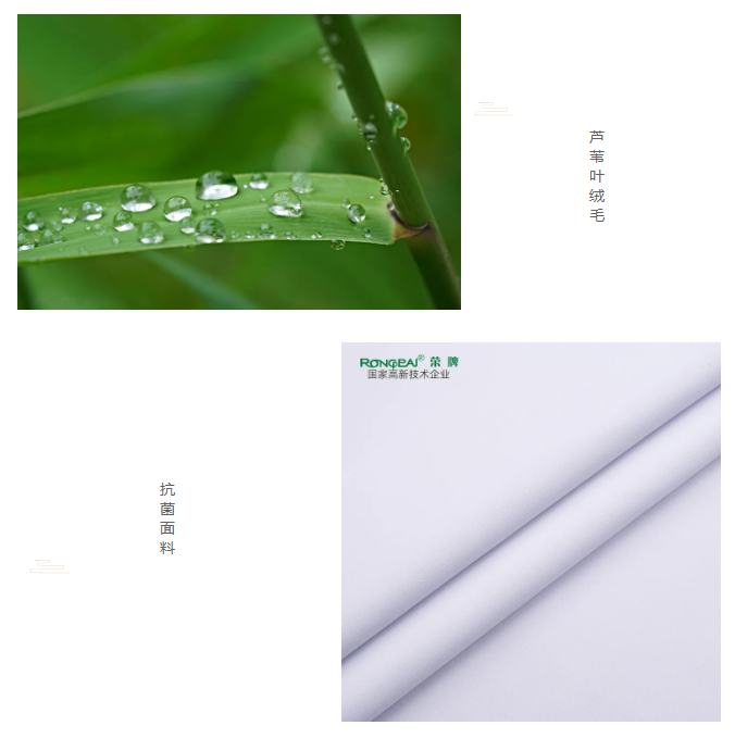 华体网页版登录入口医纺