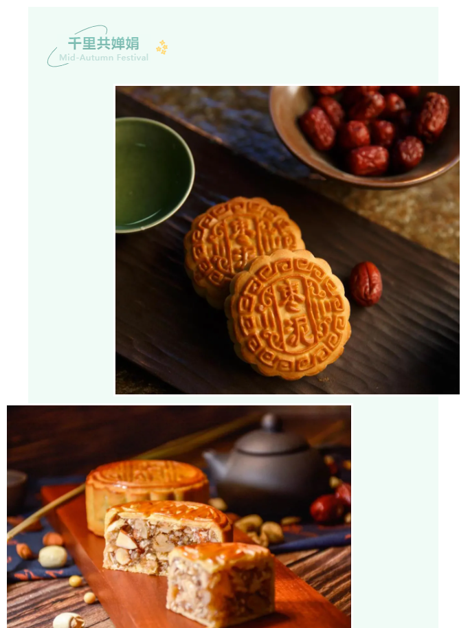 华体网页版登录入口医纺